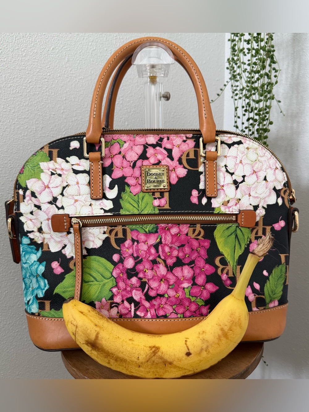 Dooney & Bourke Black Monogramed Hydrangea Domed Zip Satchel With Tan Trim - Picture 2 of 8